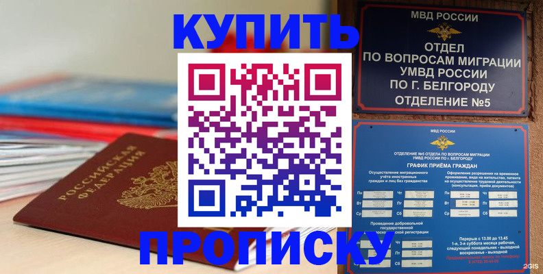 прописка для работы в Люберцах